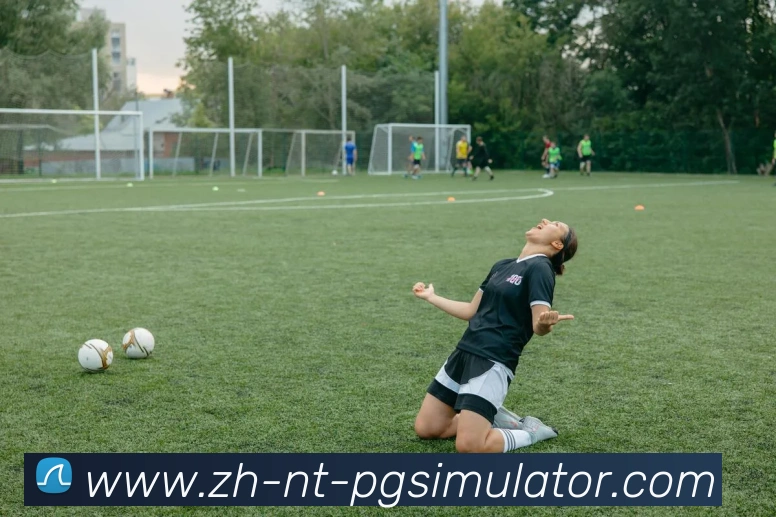 多媒体互动体验